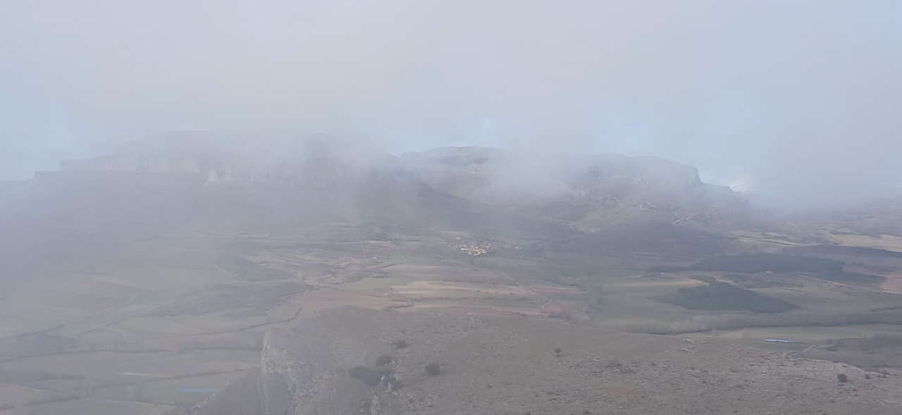 WhatsApp Image 2026-02-10 at 11.24.08 (6)